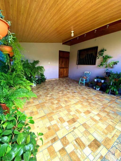 Peace Garden Apartment Monteverde Exterior photo